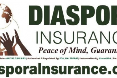 IMG-20241115-22222 IMG-20241115-22222